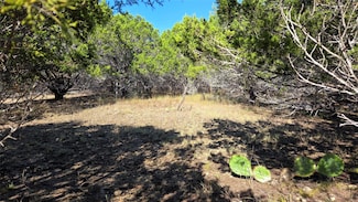 1801 Santa Cruz Cir, Lago Vista, TX 78645