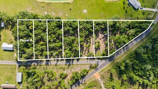 Parcel A Mossie Rd, Wewahitchka, FL 32465