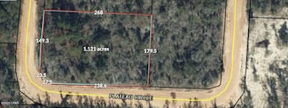 00 Plateau Cir, Alford, FL 32420