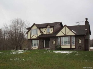 11508 Snyder Rd, Springville, NY 14141