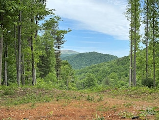 (SW Lot) TBD Silas Branch Rd, Burnsville, NC 28714