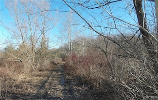0 Shirley Rd, North Collins, NY 14111