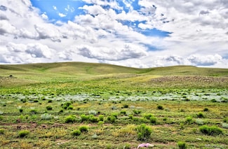 313 Watonga Rd, Hartsel, CO 80449