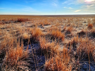 0 E Tbd 56th, Deer Trail, CO 80105