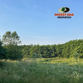 50 Acres Off of Jordan Rd, Cisco, IL 61830