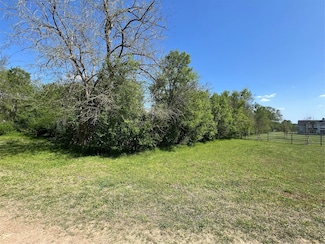Lot #1 Cr 218 Rd, Anderson, TX 77830