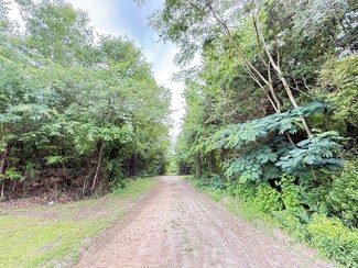 Tbd Gwen Dr Lot Unit WP001, Hamer, SC 29547