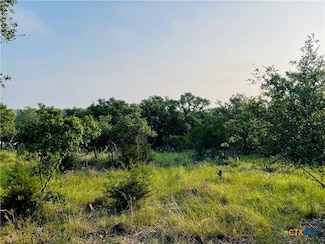 395 Shady Hollow, New Braunfels, TX 78132