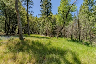 0 Allan Rd Unit 225067042, Volcano, CA 95689
