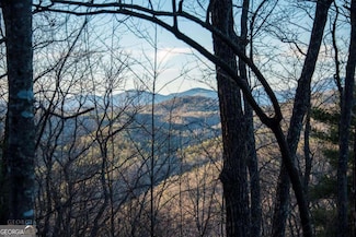 0 Eagle Eye Trail Unit LOT 88 10417619, Tiger, GA 30576