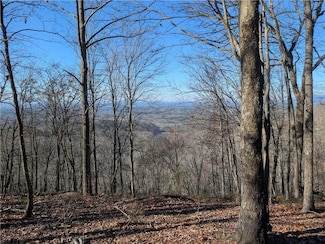 234 Stirratt Rd, Ranger, GA 30734
