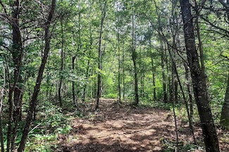 Lot 2 Lake Rd, Flambeau, WI 54555