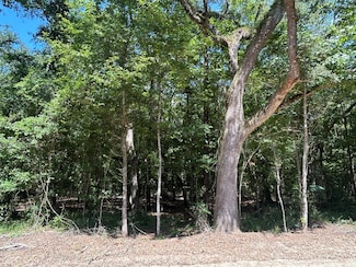 19.16+-ac Ramer Loop Rd Kimble Rd, Cottonwood, AL 36320
