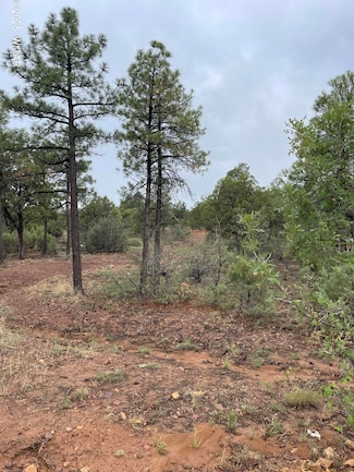 631 S Haven Dr, Show Low, AZ 85901