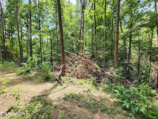 Lot 31 Birch Dr, Sevierville, TN 37876