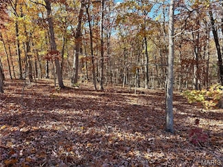 10270 Skyline Dr, Cadet, MO 63630