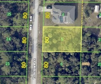 72 Troutdale St, Port Charlotte, FL 33954