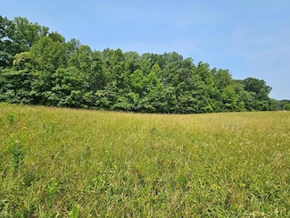 0 Main St Unit 57511, Dillwyn, VA 23936