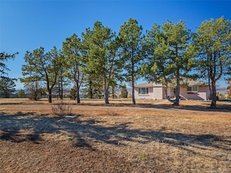 2619 Mountain View Ave, Franktown, CO 80116