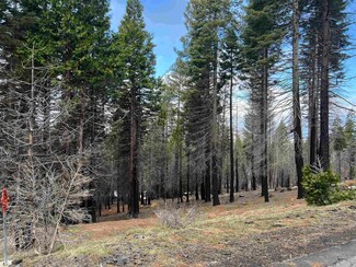 120 Goose Bay View Trl, Chester, CA 96020