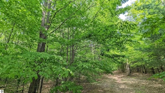 00 Stark Rd, Mancelona, MI 49659