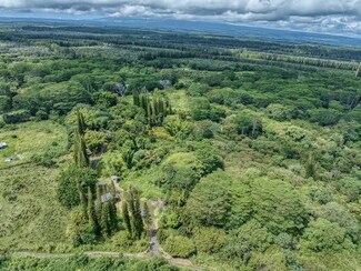 17-406 13 Mile Rd, Kurtistown, HI 96749