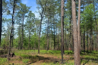 0 Us Highway 271, Tyler, TX 75708