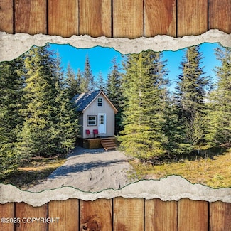 70859 Tall Tree Ave, Anchor Point, AK 99556