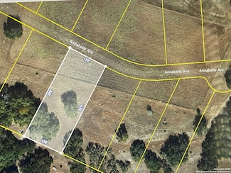 781 Annabelle Ave, Bulverde, TX 78163