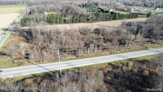 V/L Argentine Rd, Oceola Township, MI 48855