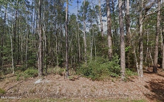 0 Orange St, Bay Saint Louis, MS 39520