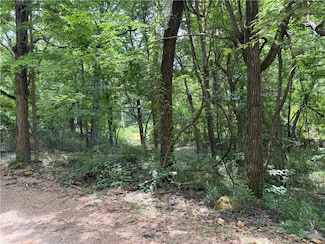 TBD Gum Springs Rd, Parthenon, AR 72666