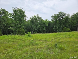 0-1 Mark Peterson Dr, Hickory Grove Township, MO 63390