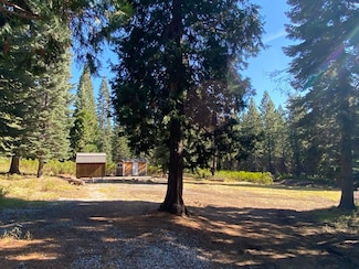 4-C-6 Summit View Dr Unit 4, McCloud, CA 96057