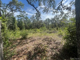727 N Seton Ave, Lecanto, FL 34461