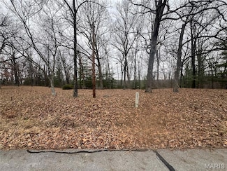 0 Cherokee Dr Unit MIS25079353, Perryville, MO 63775