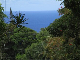 0 Puualaea Homestead Rd, Laupahoehoe, HI 96764