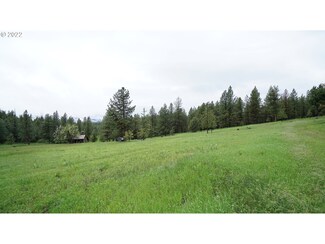 214 Forest Rd 893, Bates, OR 97817