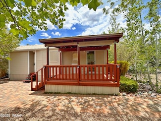 2236 Rodeo Rd, Overgaard, AZ 85933