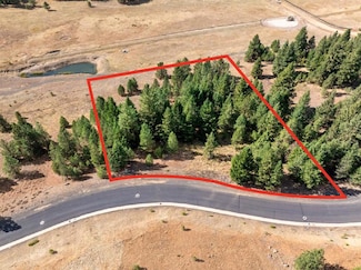 TBD Lupine Ln Unit 112, McCall, ID 83638