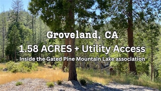 0 Pine Mountain Dr Unit SW25250311, Groveland, CA 95321
