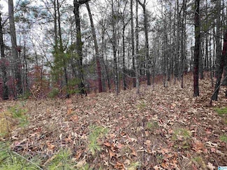 0 Mountain View Trail Unit 35, McCalla, AL 35022