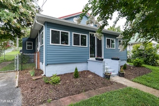 1605 E Fairview Ave, Johnson City, TN 37601