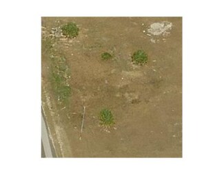427 Petite Ave, Lehigh Acres, FL 33974