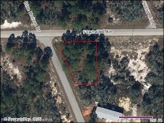 401 Fawnwood Ave, Lake Placid, FL 33852