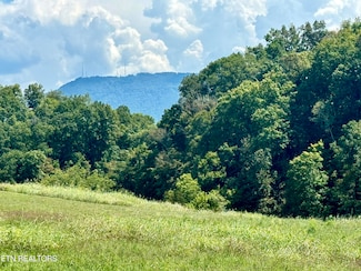 0 Wye Dr, Seymour, TN 37865