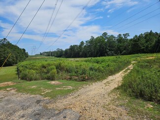 NHN Darby Ln, Carriere, MS 39426