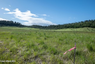 Lot C Merideth Rd, Plummer, ID 83851