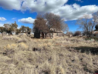 51654 Highway 491, Cahone, CO 81324