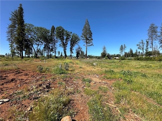 1344 Wagstaff Rd, Paradise, CA 95969